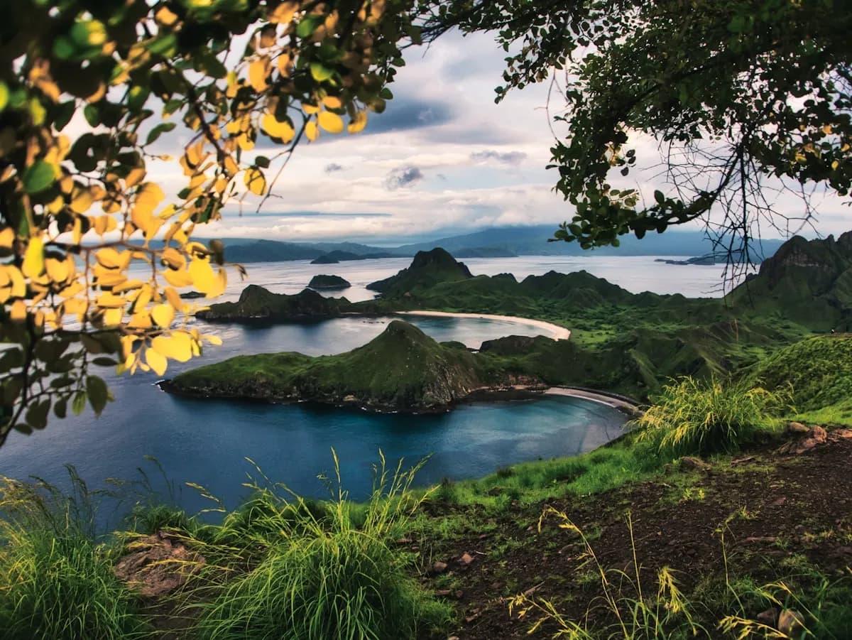 Conservation Efforts in Komodo National Park